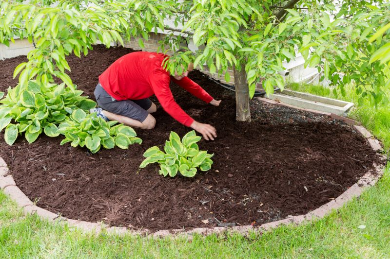 Black Mulch Installation in Honolulu, HI