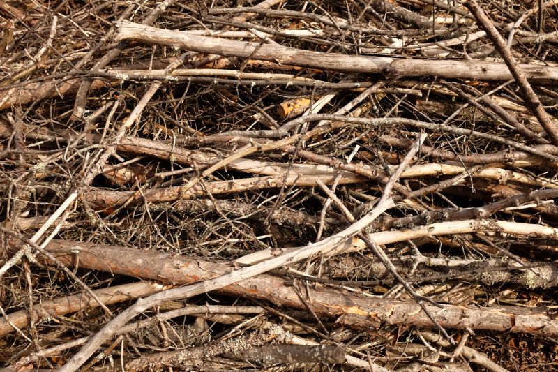 Pre-Fire Season Clearing