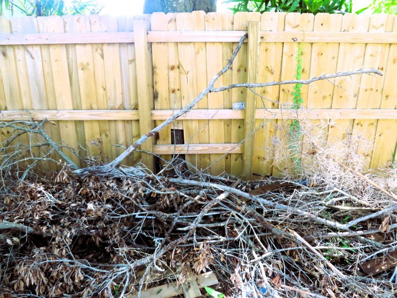 Assessing Overgrowth Post-Winter