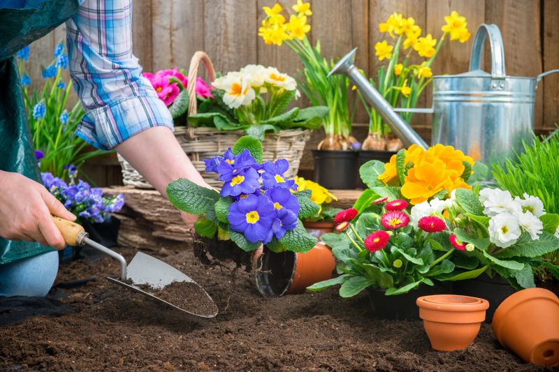 Garden Care Service in Ventura County, CA