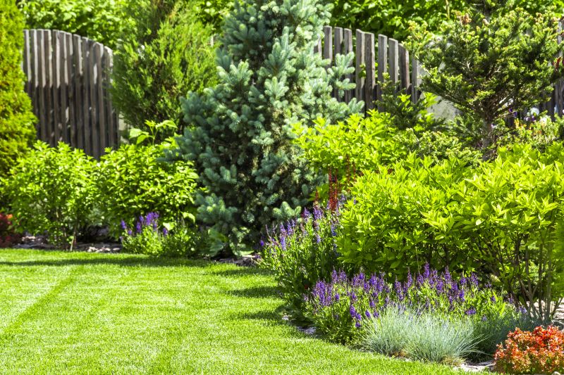 Hedge Landscaping in Honolulu, HI