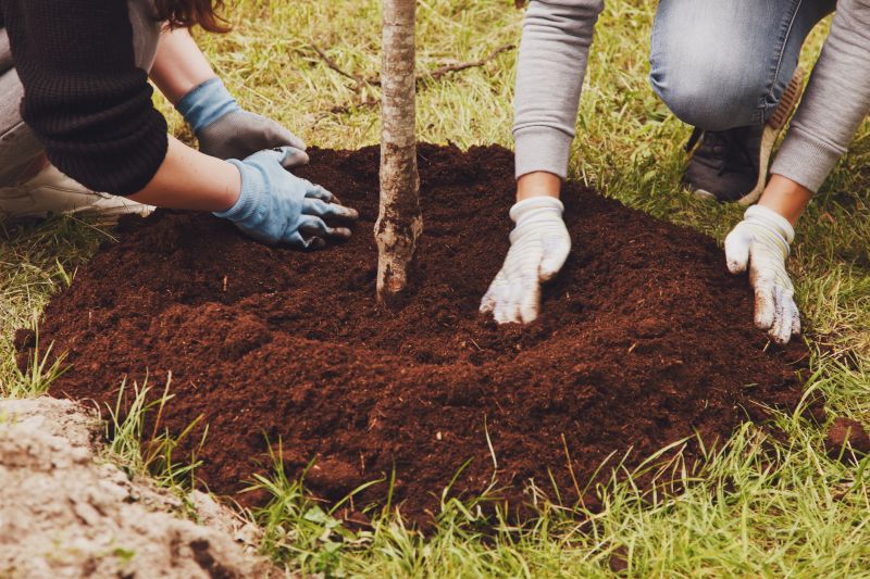 Japanese Cherry Tree Planting in Ventura County, CA