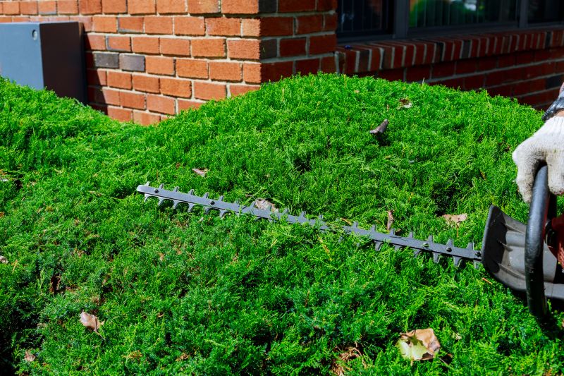 Landscape Trimming Service in Honolulu, HI