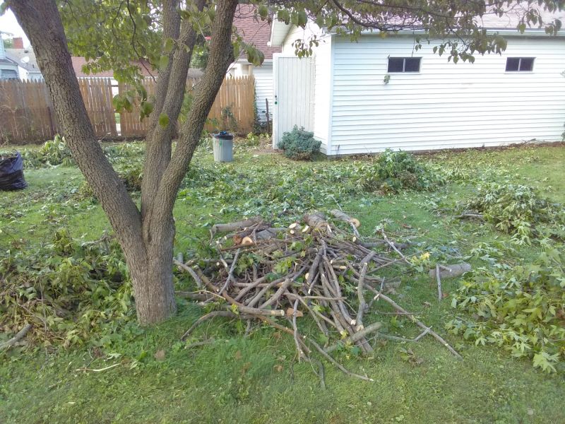 Landscaping Cleanup Service in Honolulu, HI