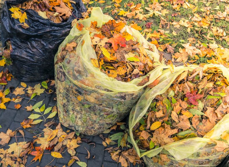 Leaf Removal in Ventura County, CA