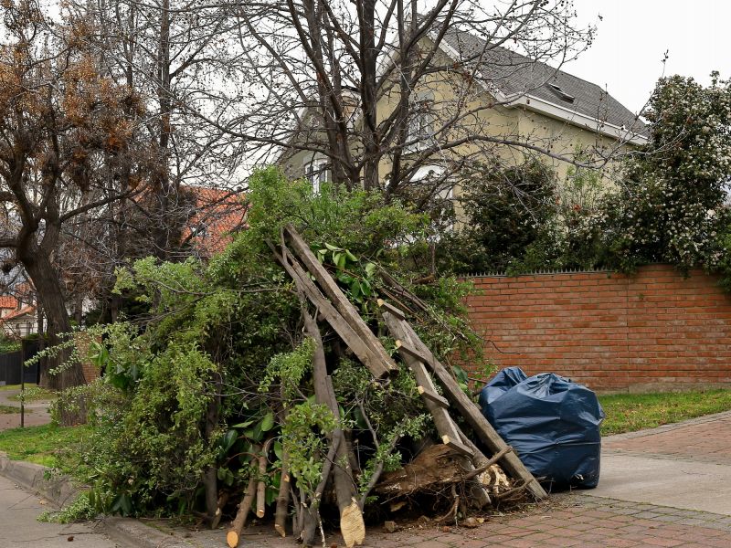 Limbs Removal in Ventura County, CA
