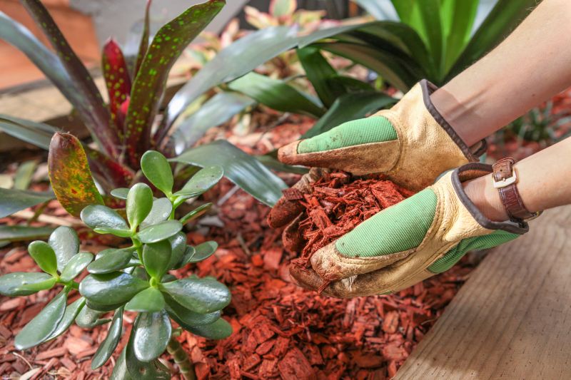 Organic Mulch Installation in Ventura County, CA