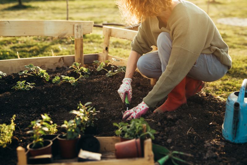 Planting Service in Honolulu, HI