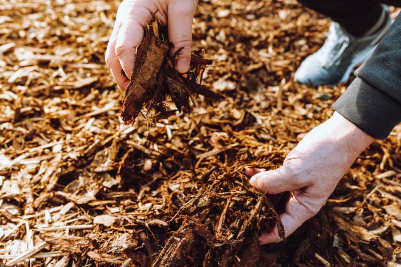 Shredded Mulch Installation in Honolulu, HI