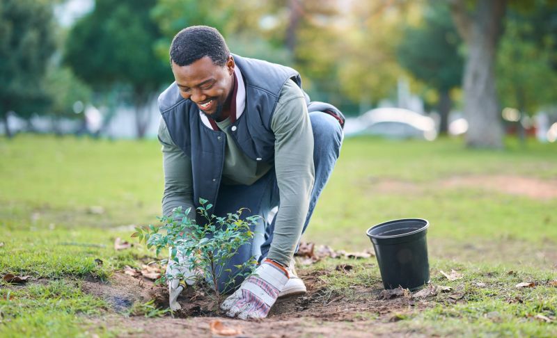 Shrub Landscaping in Ventura County, CA
