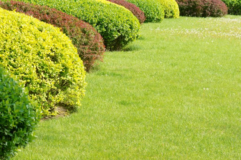 Shrub Planting Service in Ventura County, CA