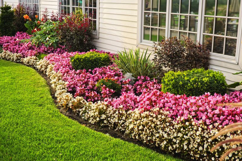 Shrub Planting Service in Honolulu, HI