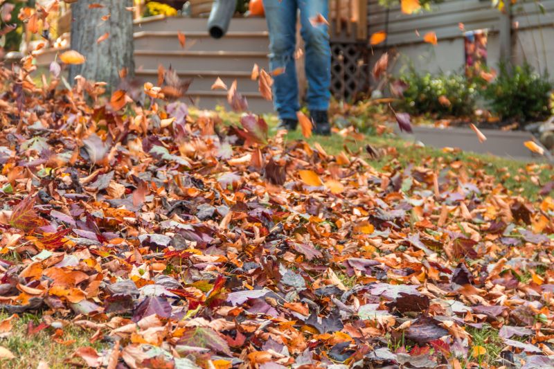 Spring Lawn Cleanup in Honolulu, HI