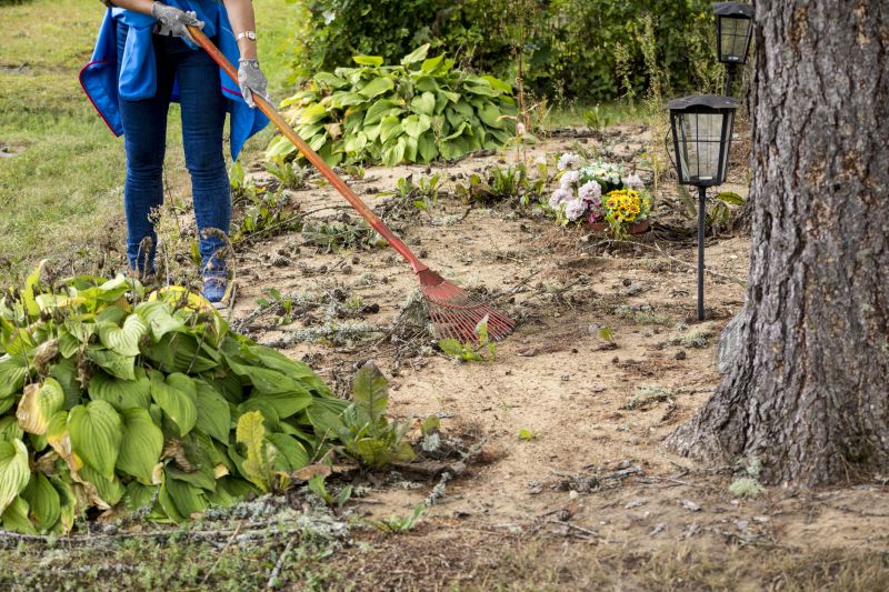 Garden and Land Clearing Experts