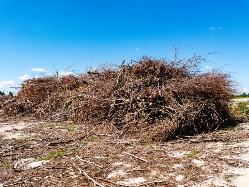 Wood Pile Removal in Ventura County, CA