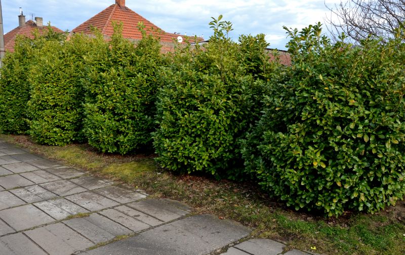 Ventura County, CA